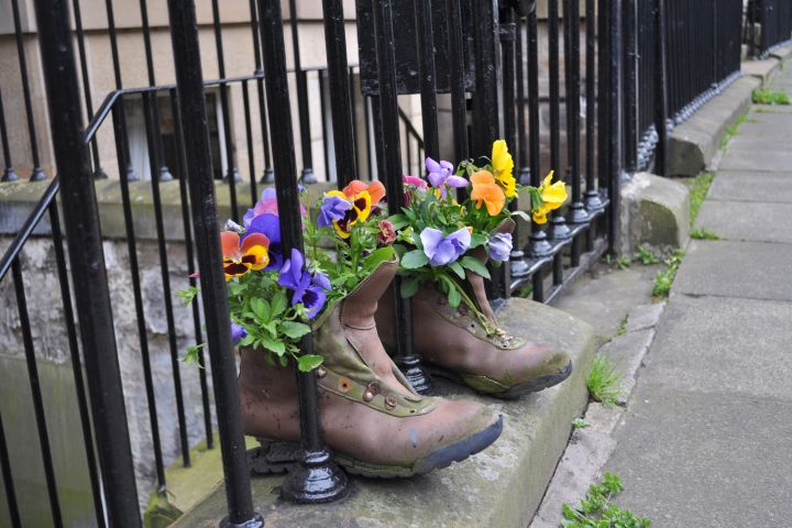 Picture of shoes and flowers.