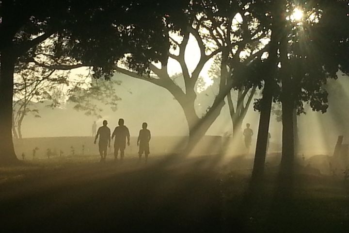 Photograph of an early morning scene.