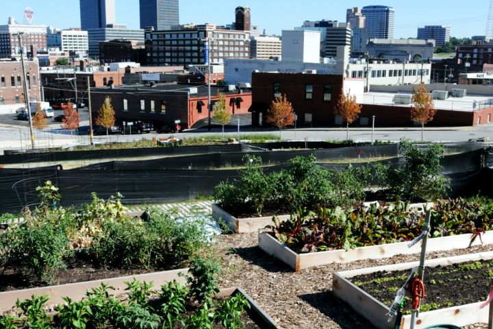 Photograph of a city garden.