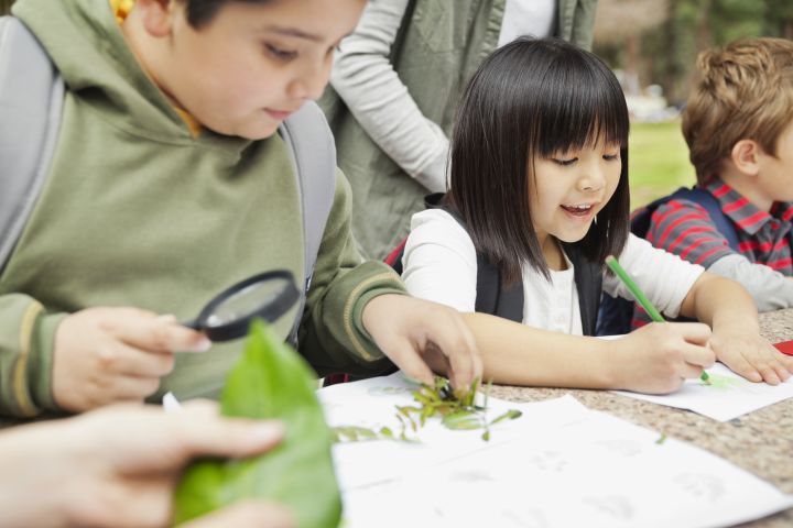 Group of students examining leaves outdoors