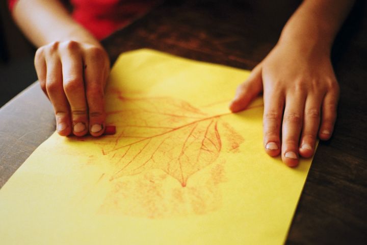 Leaf rubbing