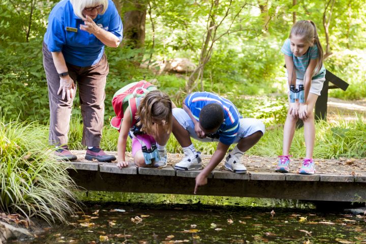 Photographed on location at Potomac Overlook Regional Park in Arlington, Virginia for National Geographic Education & Children's Media (ECM). Model Released. 7-8 year-old students.