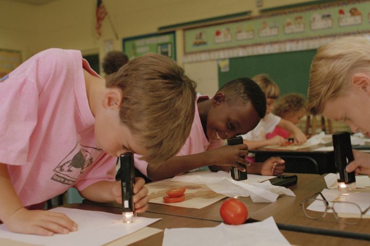 A photograph of students studying seeds in a classroom using handheld magnifying devices.