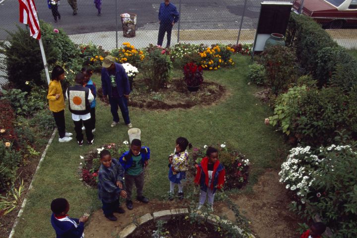 A photograph of a community garden in the New York City boroughs of Queens.