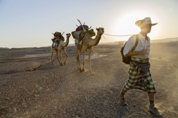 Journalist Paul Salopek leads a pair of camels across Ethiopia's Afar desert.