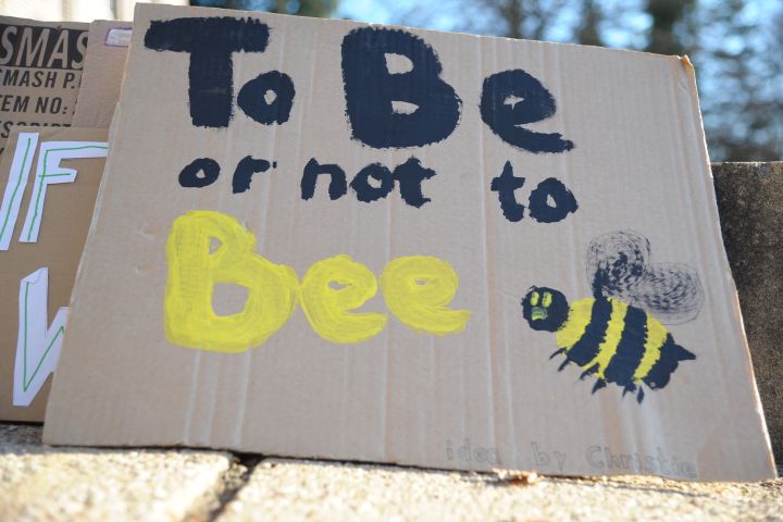 Climate strike poster done on cardboard in black and yellow paint that says to be or not to bee.