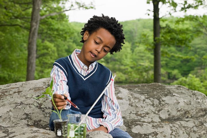 Science is something anyone can do in the backyard.