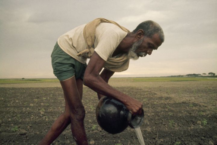 Photo of a rural farmer watering his field.