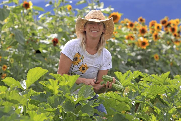 The WWOOF network provides opportunities to volunteer on a farm in exchange for room and board.