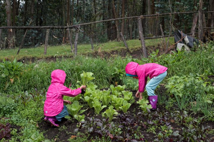 Planting a community garden is one way to perform volunteer service.
