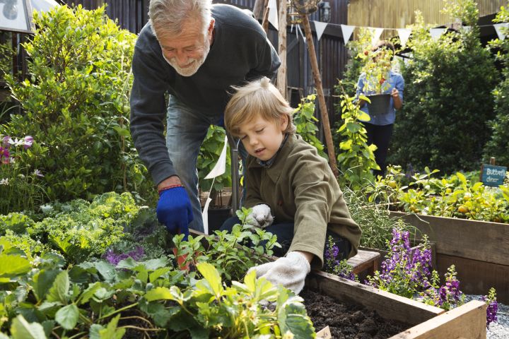 Three people, including a child, garden together.