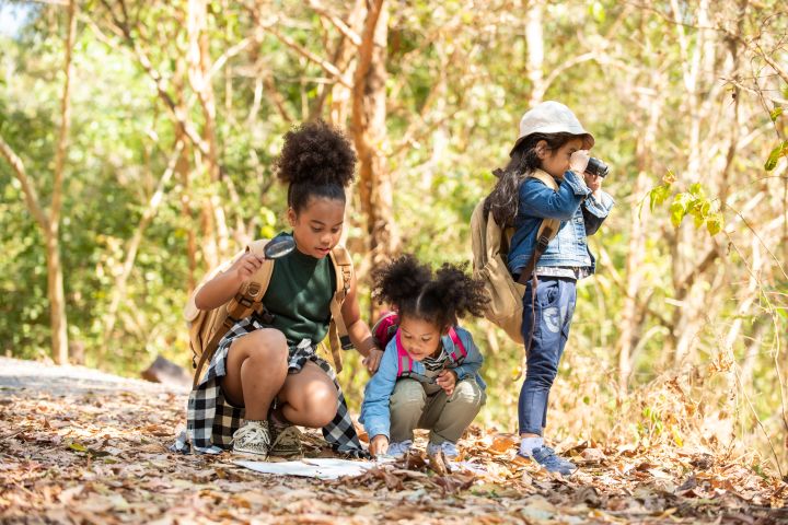 Three little children exploring in the woods together.