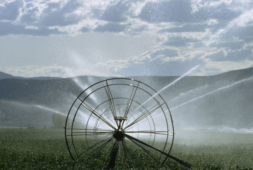 Pro Series Impulse Sprinkler  Early's Farm & Garden Centre