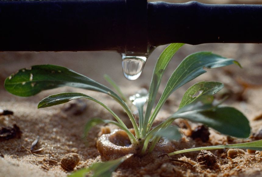 humidity meter for plants Practical Reusable Premium Water
