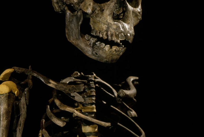 Case Study: Koobi Fora Research Project