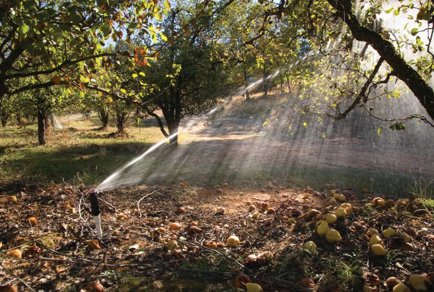 Responsible use of water resources is an important factor to consider when discussing sustainability, especially in places like California, which are often subject to long droughts.