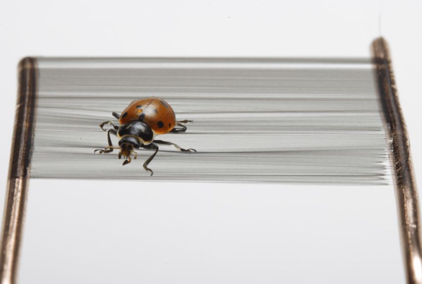 Single Small Metal Food Whisker Close Up Shot Isolated On Pure