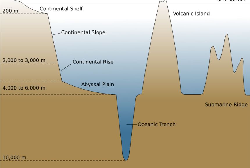 Mariana Trench Cross Section   Seafloor 