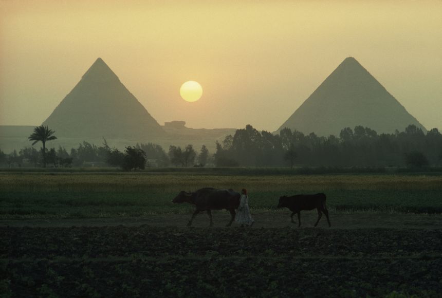 The World's Oldest Papyrus and What It Can Tell Us About the Great Pyramids, History