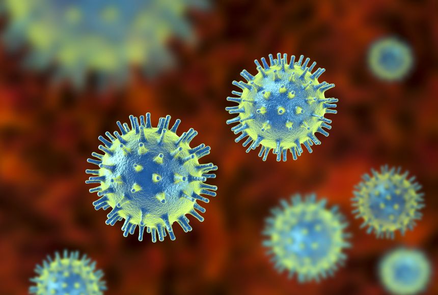 Are viruses dead or alive? (article)