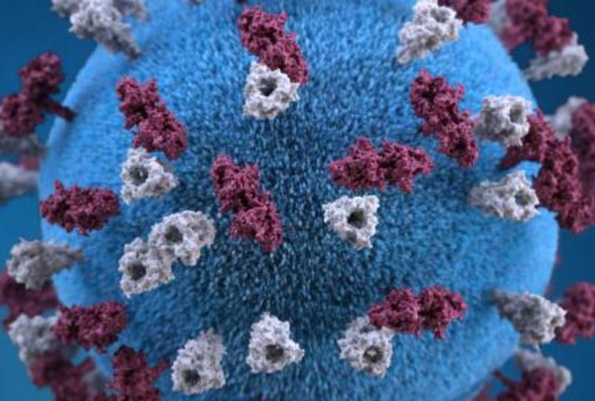 Illustration of the measles virus as a ball with small tree shaped protrusions.