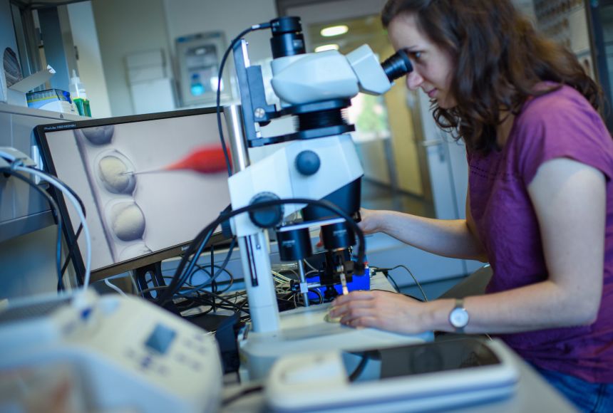 A researcher studies the CRISPR/Cas9 process at a lab in Berlin, Germany.