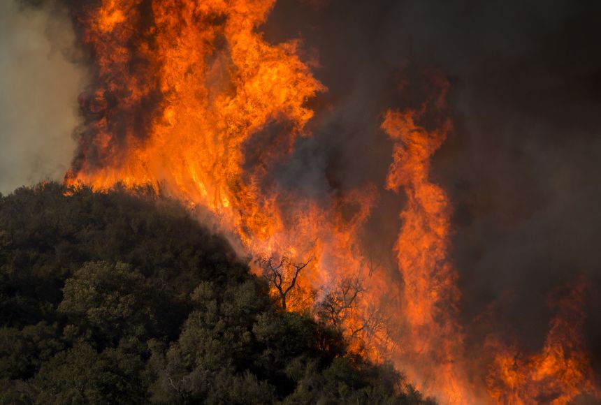 Wildfires scorch the land in Malibu Creek State Park. As the wind picks up, the fire begins to spread faster.
