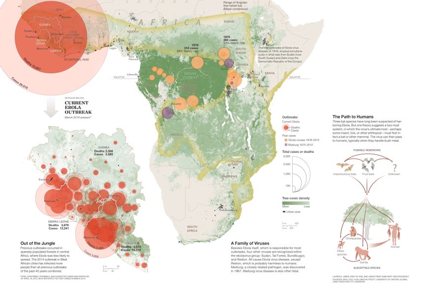 A map of the 2014-2015 Ebola outbreak and how it is believed to have spread throughout Africa.