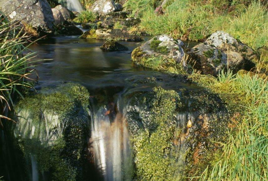 A mountain stream flowing through Inverpolly, Scotland.