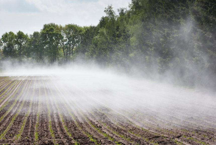 Water evaporates from a sugar beet field after a summer shower in Borger, Netherlands. Evaporation is a key step in the water cycle.