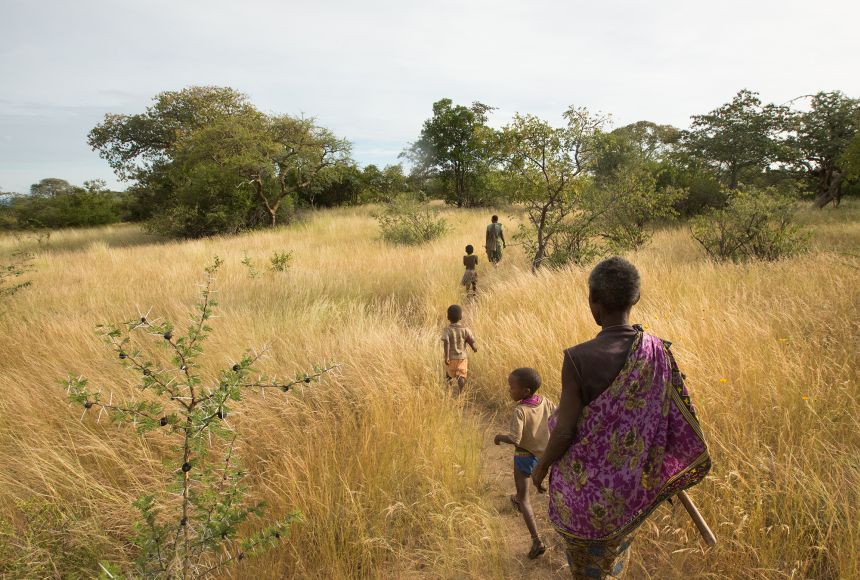 In the Yaeda Valley of Tanzania, women and children set out to collect tubers, a staple food of the Hadza people.