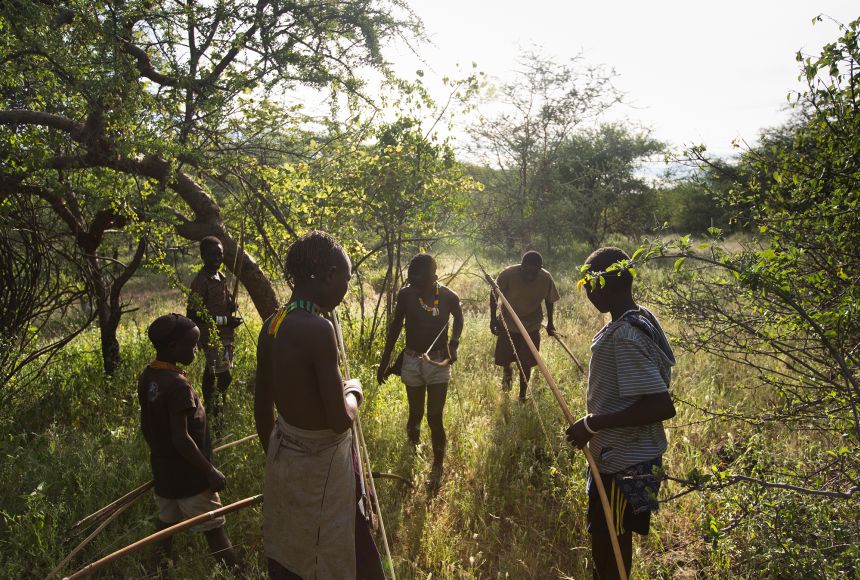 The Hadza people of Tanzania rely on hunting wild game for meat, a task that requires great skill in tracking, teamwork, and accuracy with a bow and arrow.