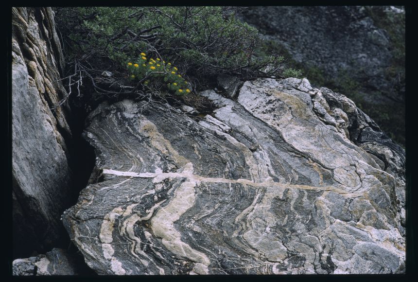 Metamorphic rock, estimated to be as old as 3.8 billion years, located near Isua at Qorqut Sound, Greenland.