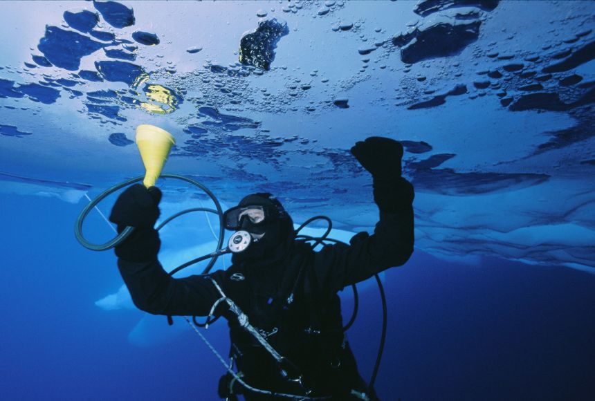 Diver Jeremy Stewart is conducting biological oceanography, which is the study of the ocean’s plants and animals and their interactions with the marine environment, by suctioning amphipods (shrimp-like crustaceans) from the ice floe.