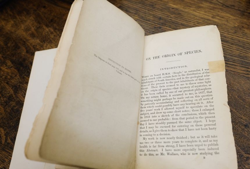English naturalist Charles Darwin wrote the definitive book outlining his idea of natural selection, On the Origin of Species. The book chronicled his studies in South America and Pacific islands. Published in 1859, the book became a best seller.