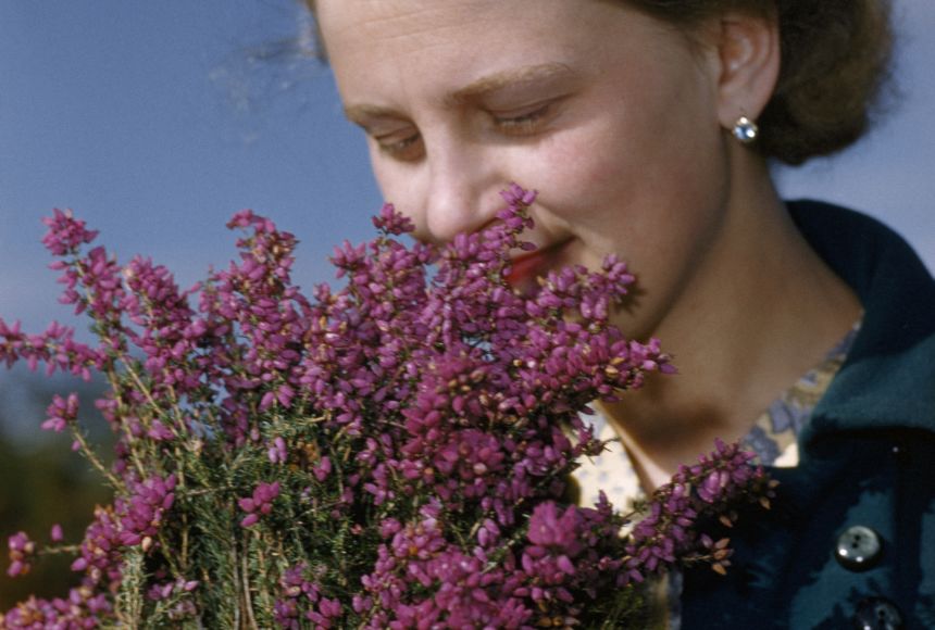 Researchers have discovered a powerful antibiotic in a bacteria found in the human nose.