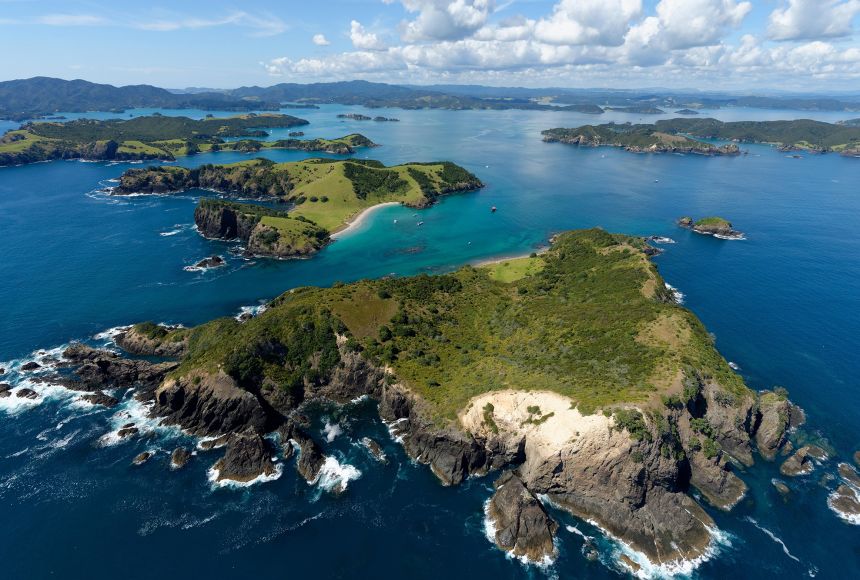The island nation of New Zealand is home to a wide variety of flora and fauna, and the unique species that call it home contribute to the world's biodiversity.