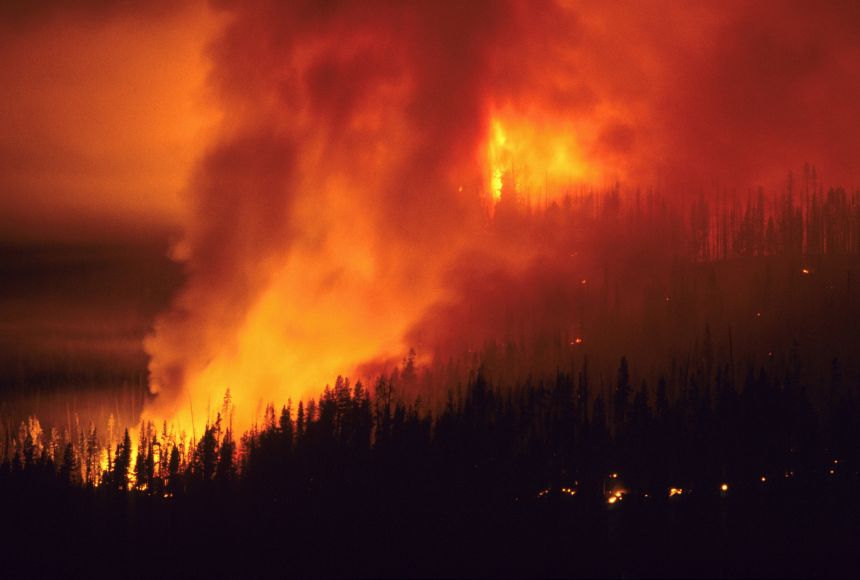 Research shows human-caused climate change has worsened the risk of extreme weather events like the wildfires of the western United States, such as this forest fire in the Boise National Forest, Idaho.