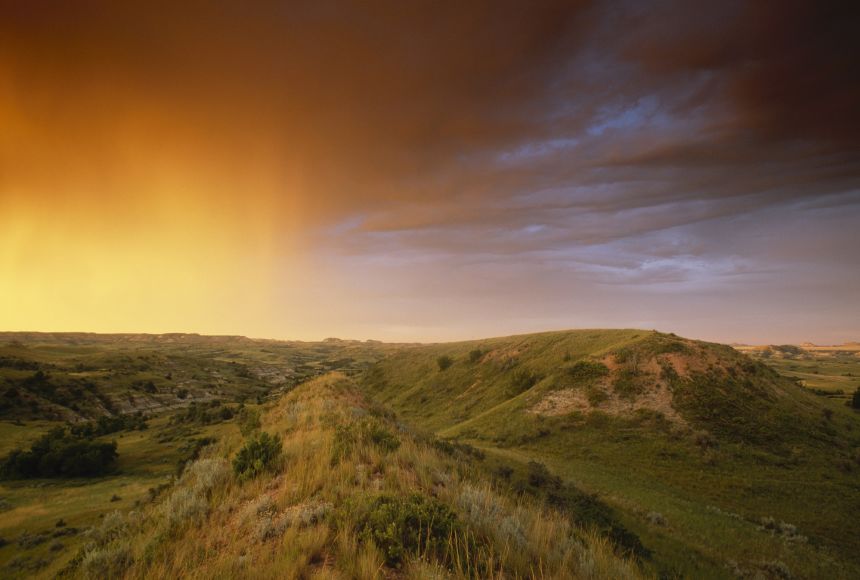 Grasslands, like the Little Missouri National Grassland in the United States, fill the ecological niche between forests and deserts, often bordering the two.