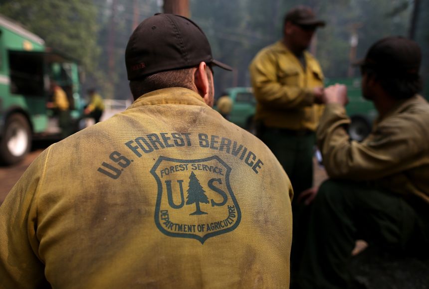 Part of maintaining a healthy forest is keeping forest fires in check. That is a role taken on by the U.S. Park Service. Here, firefighters battle the Rim Fire on August 25, 2013 near Groveland, California.