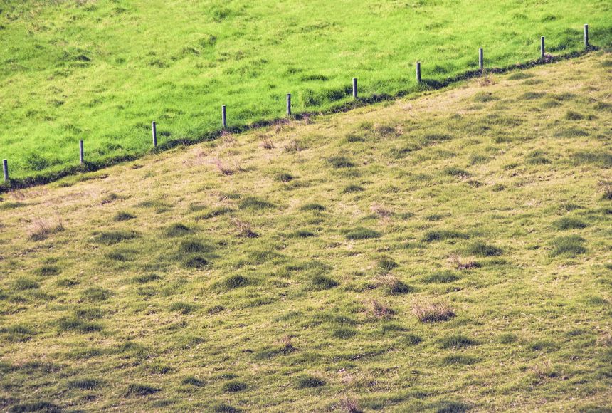 The Grass Is Greener on the Other Side: What Does It Mean?