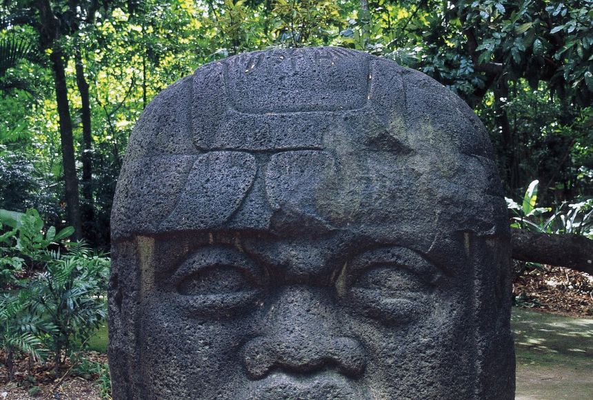 olmec social structure