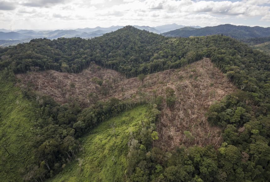 A hillside missing a large patch of trees in Honduras due to deforestation