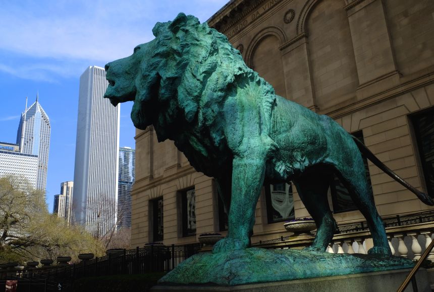 The process of rusting, or oxidization, exemplifies a chemical reaction. Here is an oxidized copper lion statute in front of the Chicago Art Institute and the Aon Center.