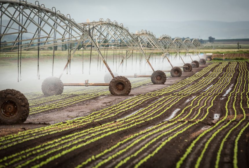 The technology used for agriculture has changed drastically since its beginning about 10,000 years ago. This farm in Darling Downs, Queensland, Australia, uses automated machines to plant lettuce seeds.