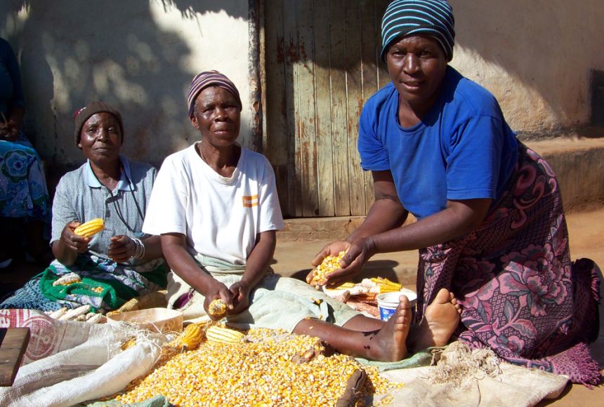 Cooking characteristics of some popular grain legumes in Kenya