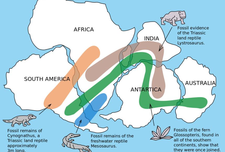 plate tectonics theory map