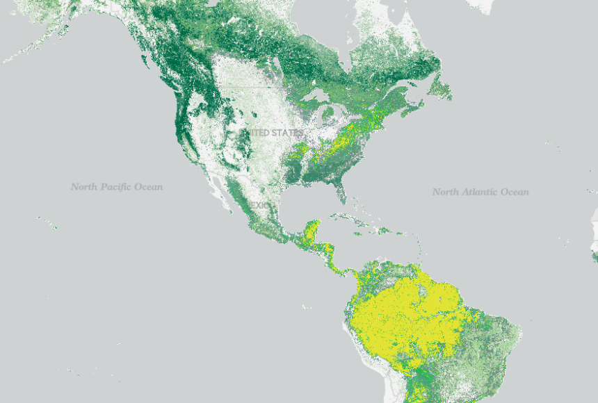 World Physical Map - GIS Geography