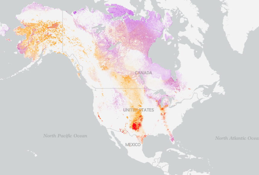 sandhill crane migration