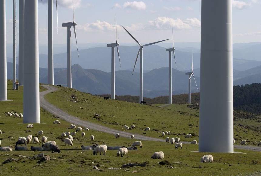 Wind turbines use the power of wind to generate energy. This is just one source of renewable energy.